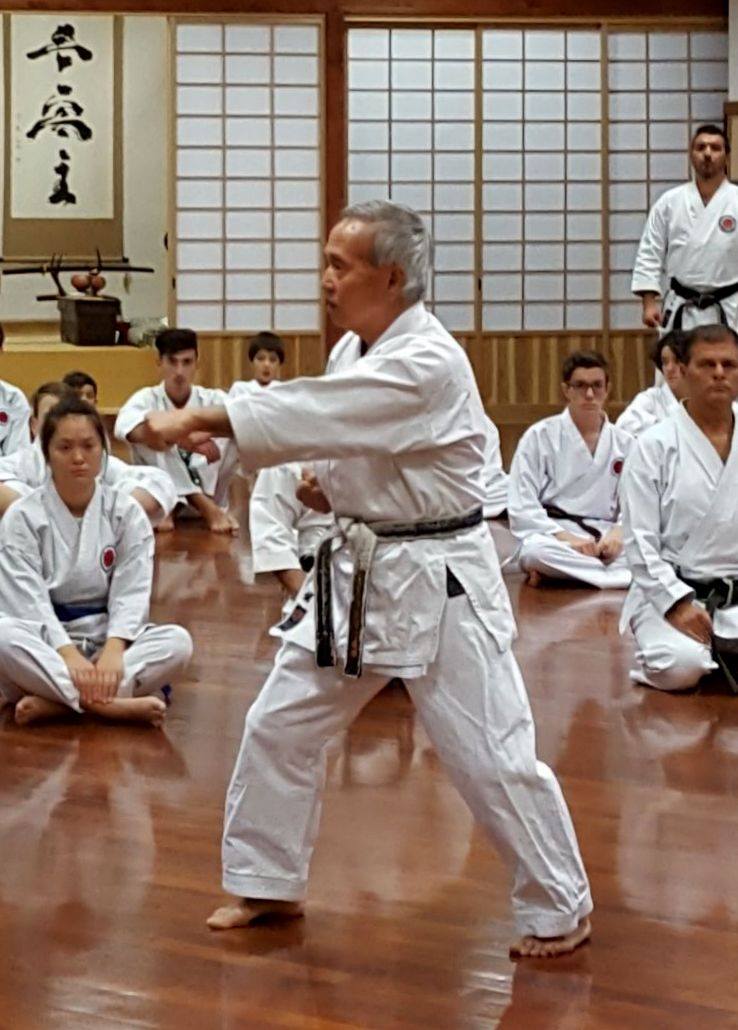 Lezione di Shihan Miura