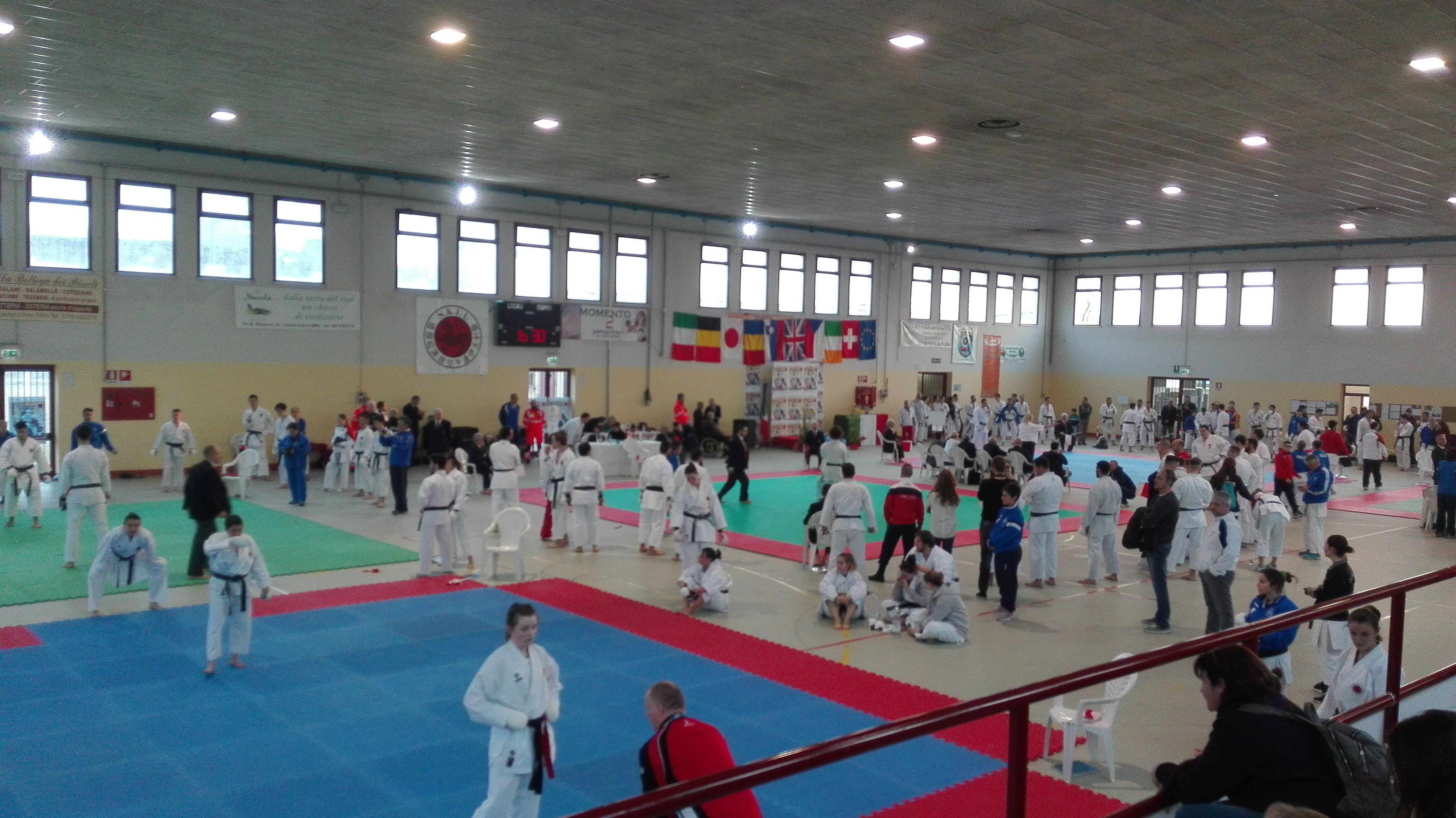 International Cup